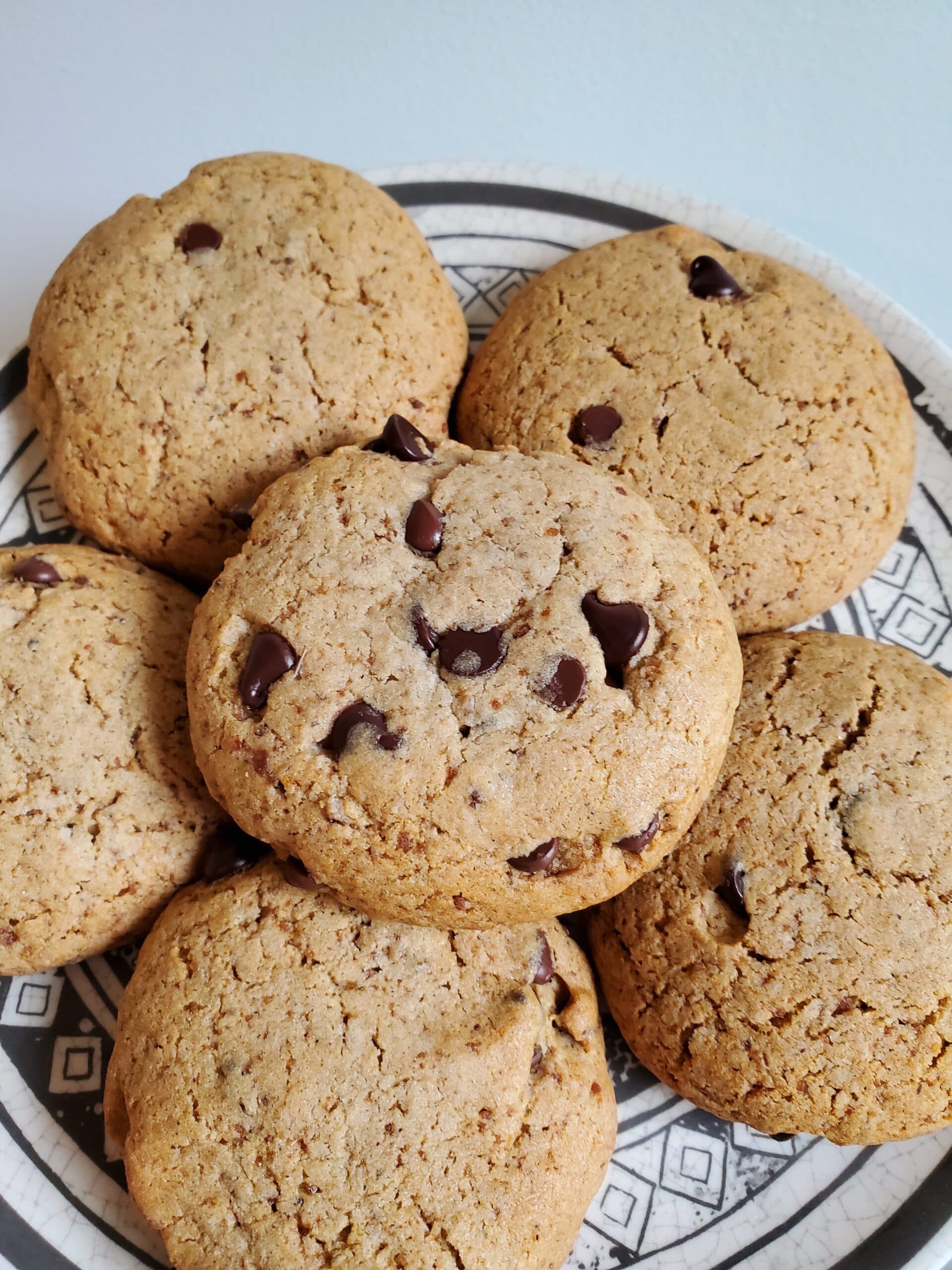 Chocolate Chip Cricket Cookies