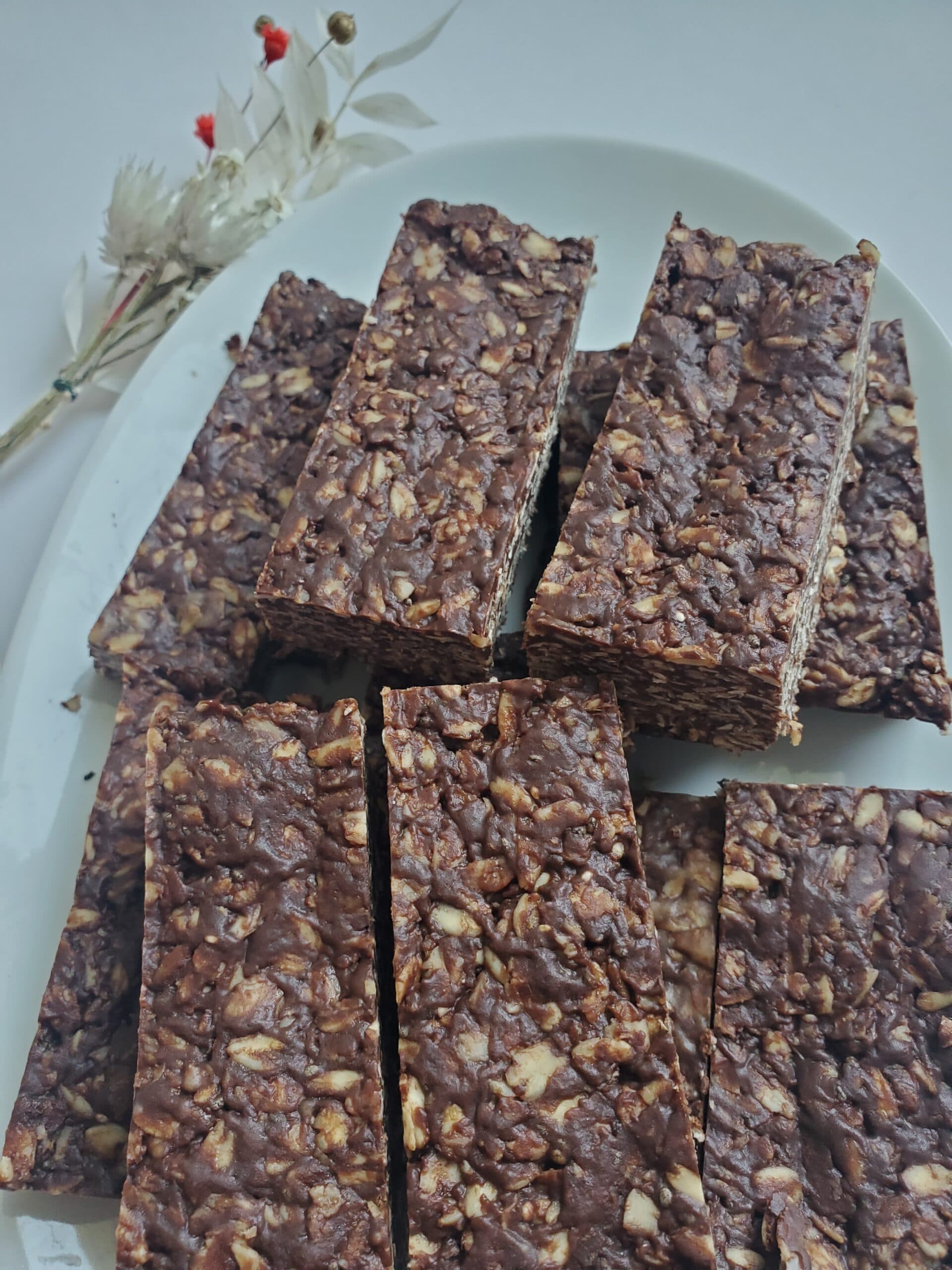 Chocolate Protein Bars